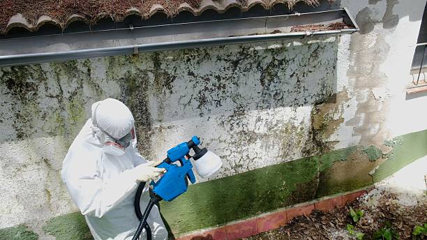 Trusted Mold Testing service in Tenafly, NJ - Cheap Mold Removal
